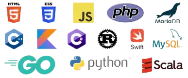 website development languages